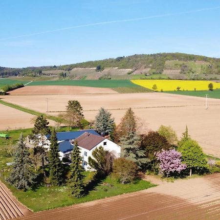 Ferienwohnungen Rosenhof Karlstadt Exteriör bild