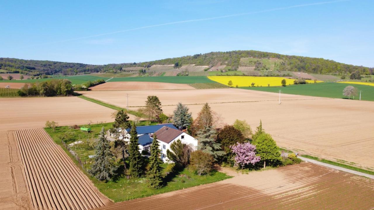 Ferienwohnungen Rosenhof Karlstadt Exteriör bild